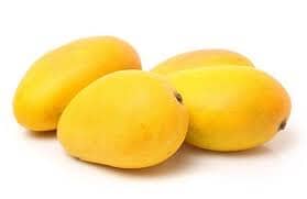 Triple Sec, Seacrest Mango Tree, Grafted Fruit Trees Everglades Farm 