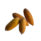 Banana Passion Fruit Plant | Passiflora Mollissima Curuba | Exotic Tropical Vine with Sweet Fruits Everglades Farm