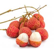 Bengal Lychee (Litchi chinensis) – Air-Layered Fruit Tree