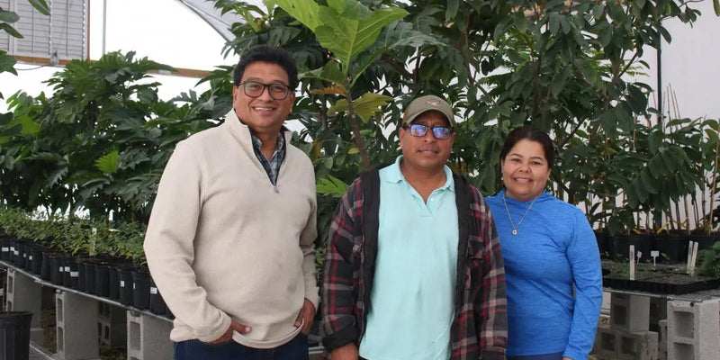 Everglades Farm Reveals Top Medicinal Plants and Fruit Trees Driving the Wellness Trend Among Customers in 2025