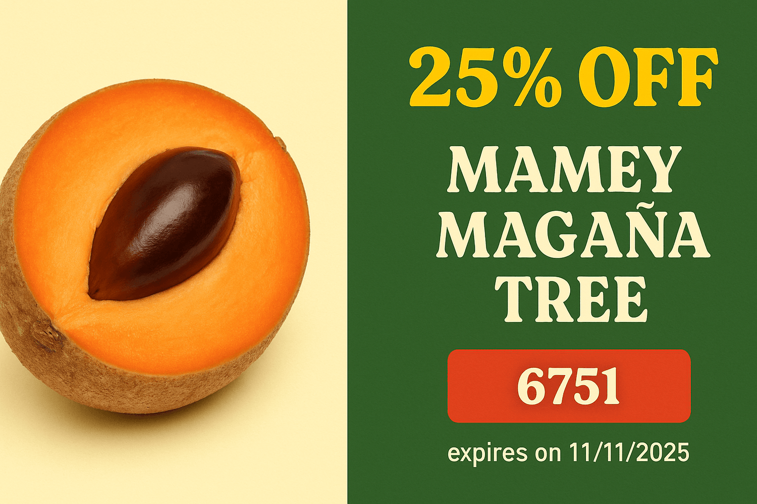 Enjoy 25% on all our Mamey Sapote Magana Trees.