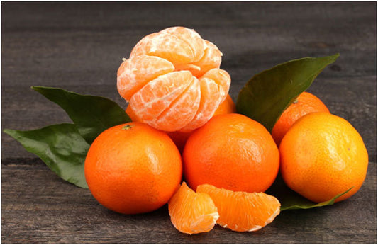 Tango Mandarin Tree | Semi-Dwarf | Grafted | 3-4 Feet & 3-gal.