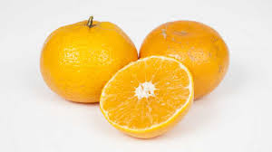 Marathon Mandarin Tree – Sweet, Seedless & Easy to Grow