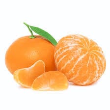 Nules Clementine Grafted Tree – Live Citrus Tree Everglades Farm 