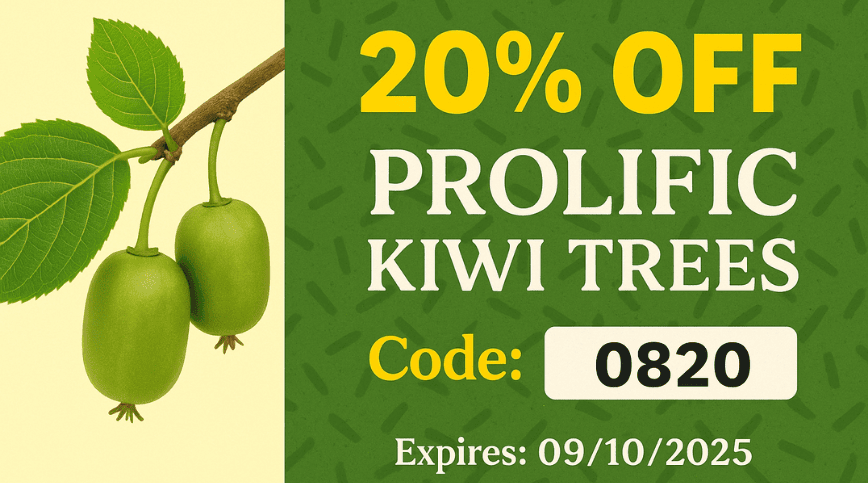 Enjoy 20% discount on our Kiwi Prolific Plant.