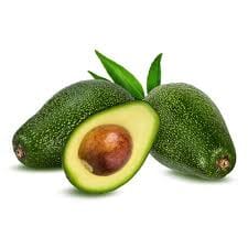 Thai 2 Avocado Grafted Tree Everglades Farm 