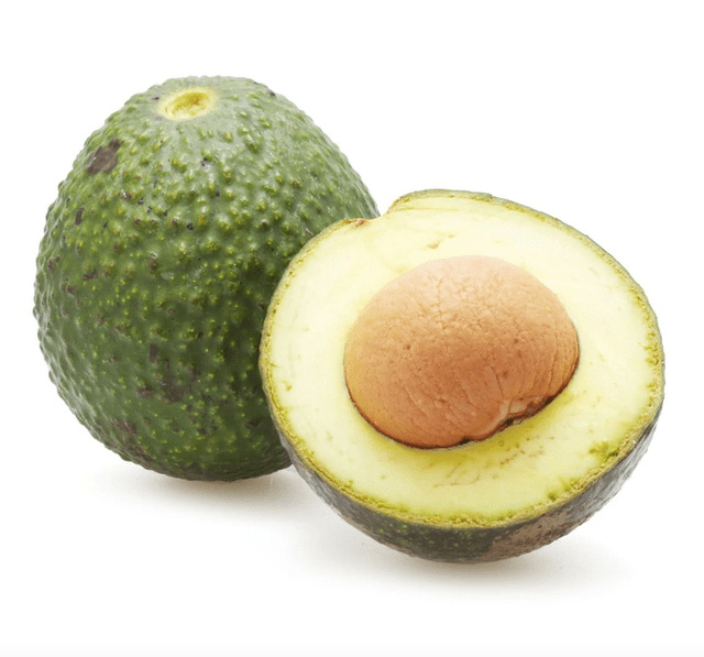 Thai 1 Grafted Avocado Tree Everglades Farm 
