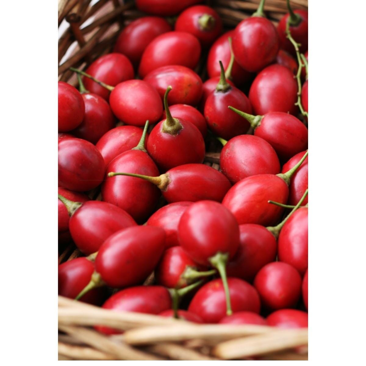 Tomate de Arbol | Tree Tomato | Tamarillo Everglades Farm