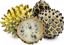 Rollinia Deliciosa Fruit Tree 100-Carlos Tropical Fruits