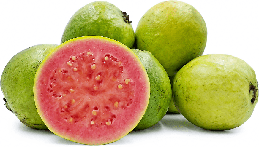 Ruby Supreme Pink Guava Tree, Grafted 100-Carlos Tropical Fruits 