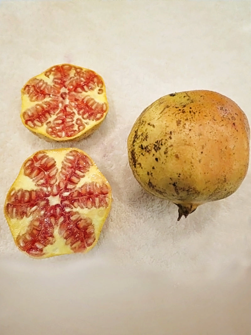 Azadi Pomegranate Tree