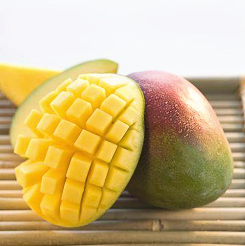 Carrie Dwarf Mango Tree Grafted Fruit Trees 100-Carlos Tropical Fruits