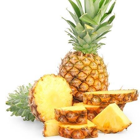 Florida Special Pineapple Plant (Ananas comosus) - Sweet, Juicy, and Cold Hardy Fruit Trees 103-Pine Island Nursery 