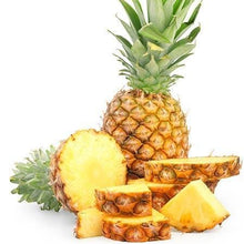 White Jade Pineapple Plant - Sweet, Low-Acid Tropical Fruit Fruit Trees 118-Agri-Starts Inc 
