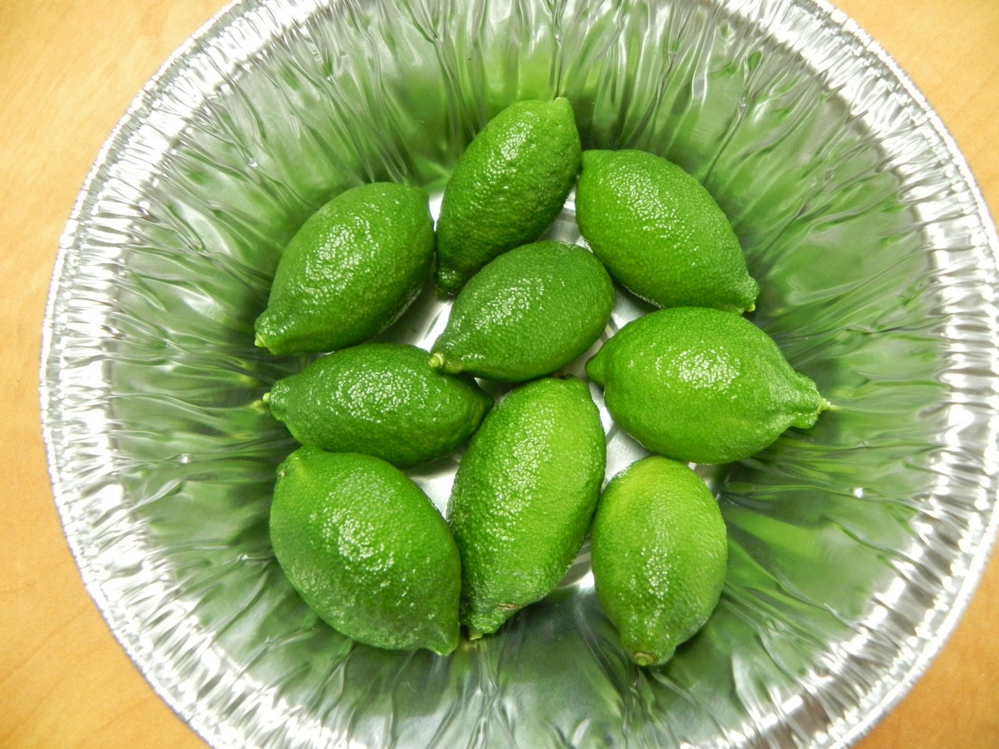 Giant Finger Lime Exotic Citrus Tree