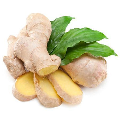 Ginger Plant