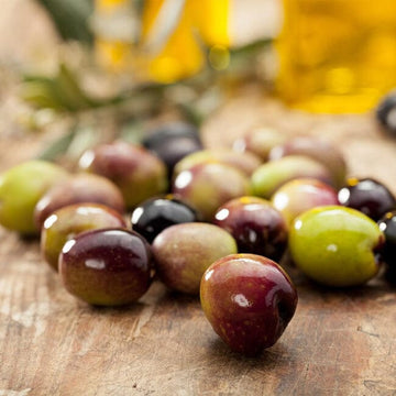 Leccino Olive Tree Everglades Farm