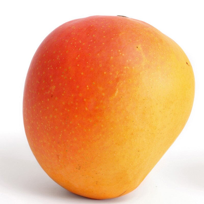 Suvarnarekha Mango Tree, Grafted Fruit Trees 102-Zill High Performance Plants 