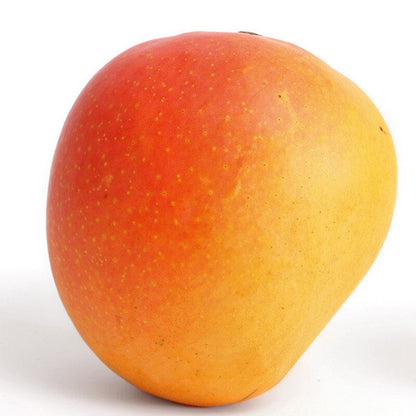 Suvarnarekha Mango Tree, Grafted Fruit Trees 102-Zill High Performance Plants 
