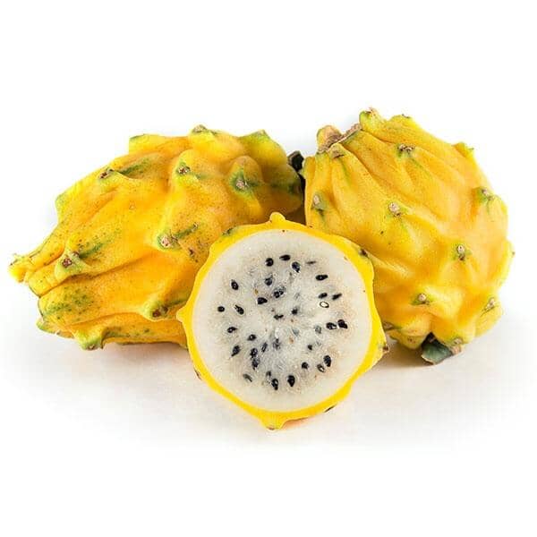 Yellow Pitaya, Dragon Fruit Fruit Trees 103-Pine Island Nursery 