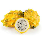 Yellow Pitaya, Dragon Fruit Fruit Trees 103-Pine Island Nursery 