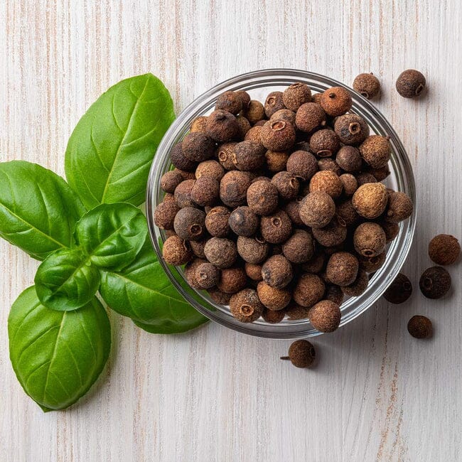 Allspice Pimienta de Jamaica Tree – Everglades Farm