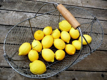 Eureka Lemon Citrus Tree 113-Brite Leaf Citrus Nursery