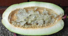 Giant Granadilla Plant 111-Lalo Melo