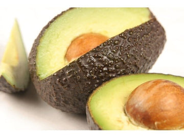 Hass [California] Avocado Tree, Grafted Fruit Trees 100-Carlos Tropical Fruits 