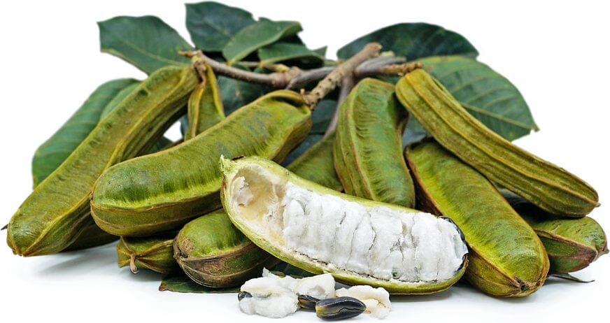 Ice Cream Bean / Pacay Inga feuilleei 122-Homegrown Farm