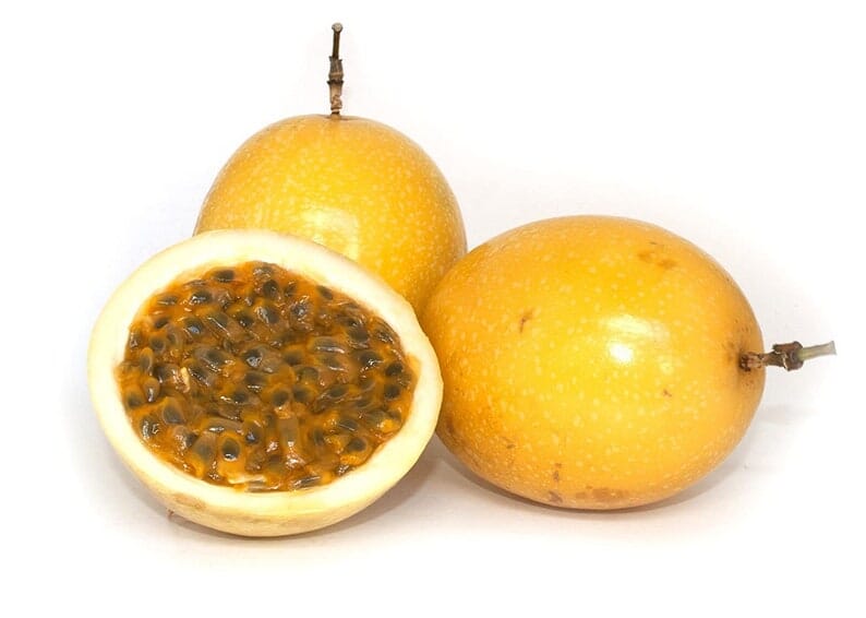 Yellow Passion Fruit Vine, Maracuya Amarillo for sale from Florida Fruit Trees 118-Agri-Starts Inc 