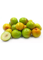 Jujube Tree Grafted 103-Pine Island Nursery