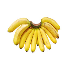 Load image into Gallery viewer, Lakatan Musa Banana Plant
