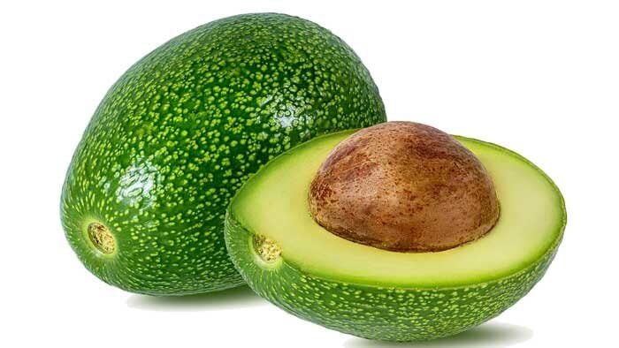 Lila / Opal Avocado Tree, Semi Dwarf, Grafted Fruit Trees 110-Guacalina Nursery & Broker 