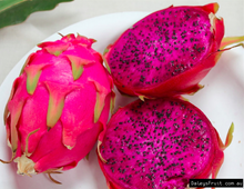 Load image into Gallery viewer, Guatemala, Pitaya, Dragon Fruit, Red, 3 gal container, For Sale from Florida
