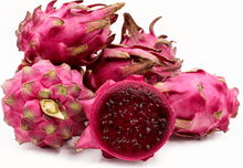 Pitaya, Dragon Fruit Red Fruit Trees 103-Pine Island Nursery 