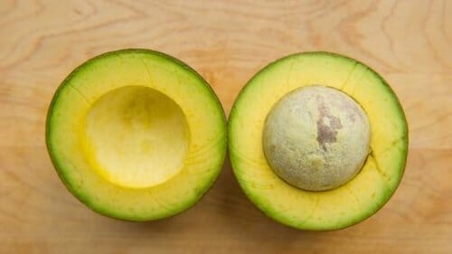 Reed Avocado Tree Grafted Fruit Trees 111-Lalo Melo