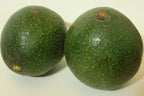 Reed Avocado Tree Grafted Fruit Trees 111-Lalo Melo