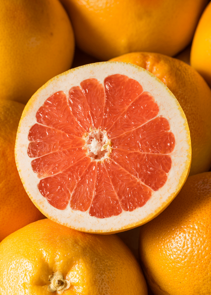 Ruby Red Grapefruit Tree Grafted 103-Pine Island Nursery