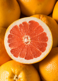 Ruby Red Grapefruit Tree Grafted 103-Pine Island Nursery