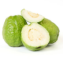 Load image into Gallery viewer, Taiwanese  White Guava Tree  for sale from Florida
