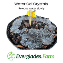 Load image into Gallery viewer, Water Gel Crystals for Moisture Retention, prevents dehydration of plants, 12-ounce bag
